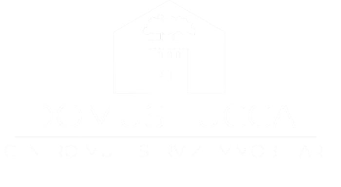 Domus Lucca Centro Servizi Immobiliari